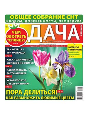 Журнал Дача №9 за май 2025 год