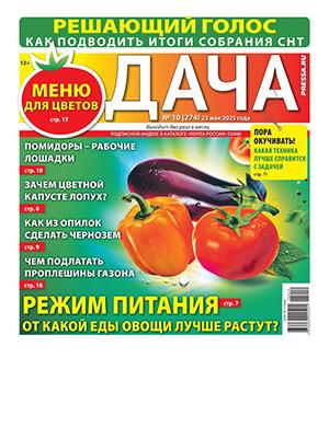 Журнал Дача №10 за май 2025 год