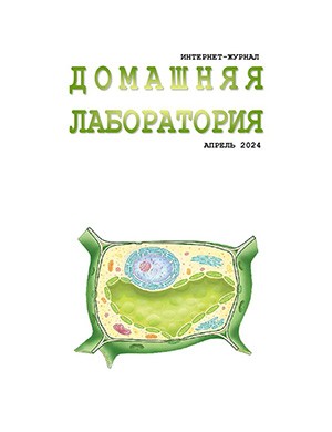 Журнал Домашняя лаборатория №4 за апрель 2025 год