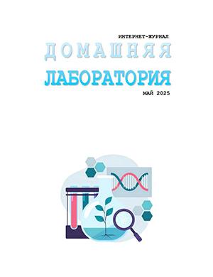 Журнал Домашняя лаборатория №5 за май 2025 год