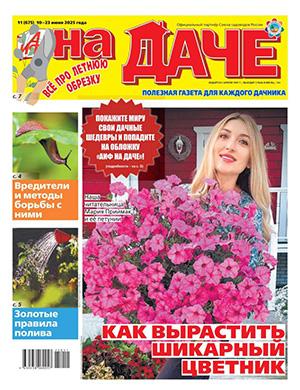 Журнал АиФ На даче №11 за июнь 2025 год