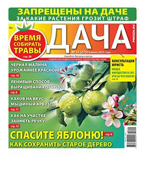 Журнал Дача №11 за июнь 2025 год