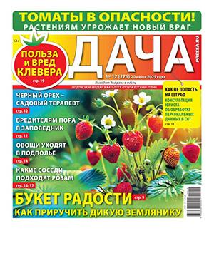 Журнал Дача №12 за июнь 2025 год