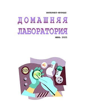 Журнал Домашняя лаборатория №6 за июнь 2025 год