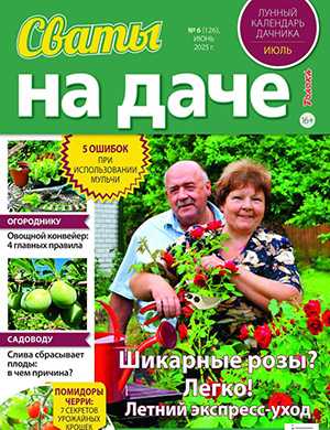 Журнал Сваты на даче №6 за июнь 2025 год