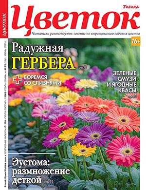 Журнал Цветок №12 за июнь 2025 год